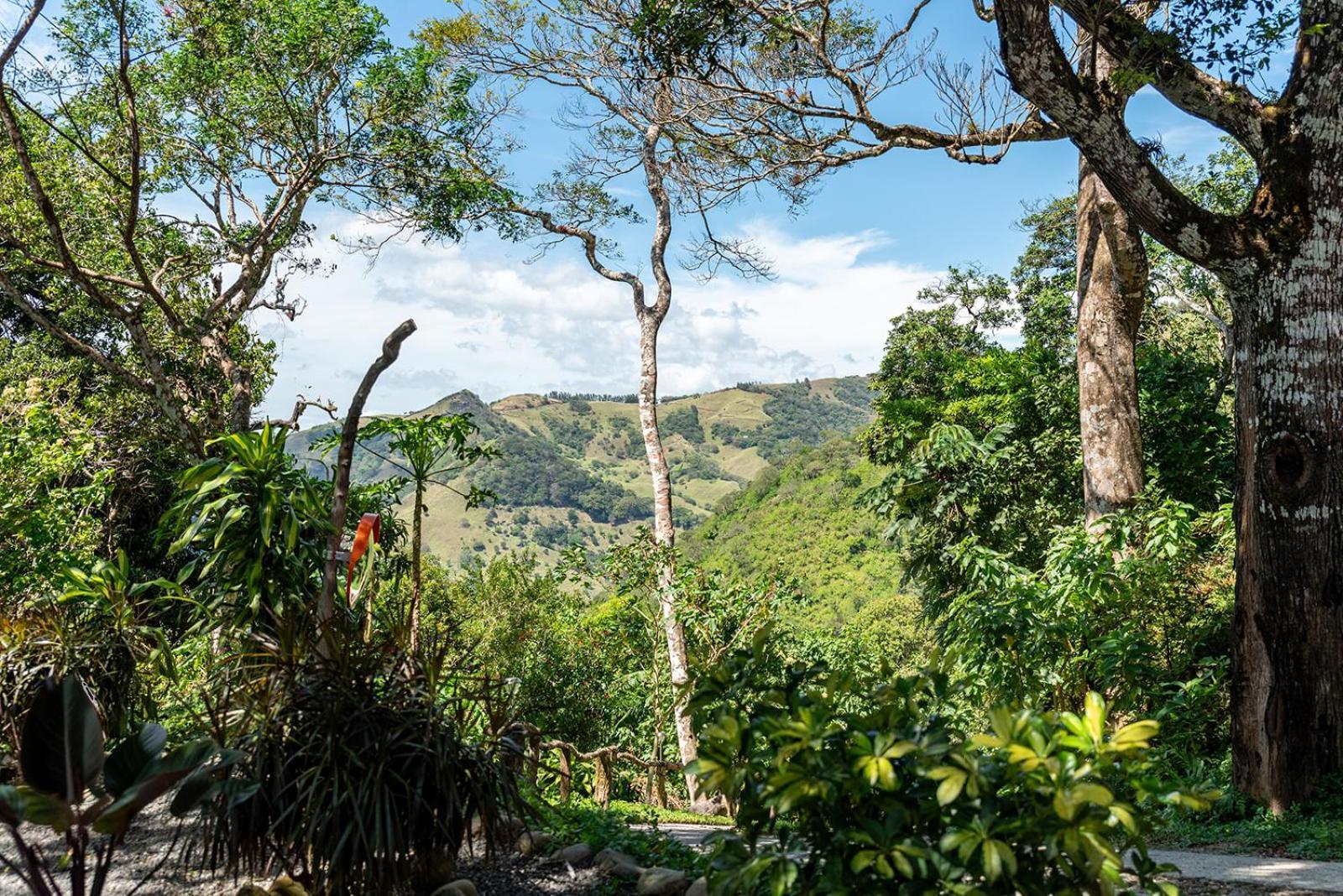Finca Sunset Monteverde ภายนอก รูปภาพ